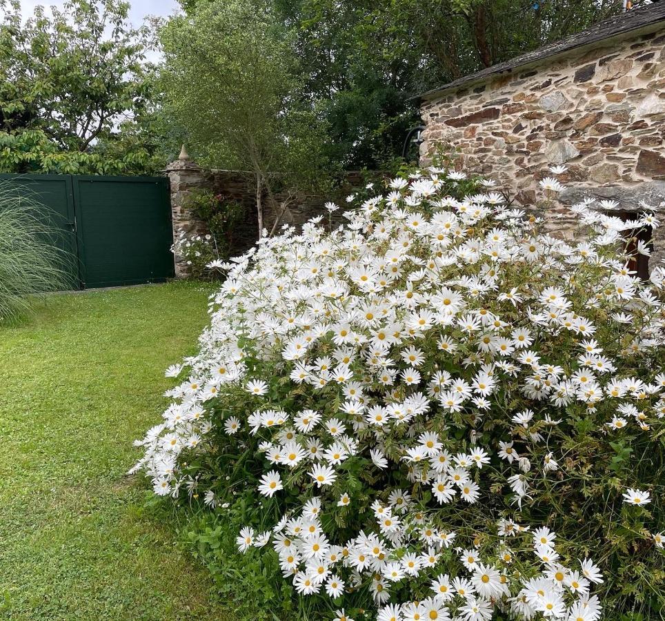 Apartamento Turistico Con Precioso Jardin - Los Gayoles Rural Castropol Exterior foto